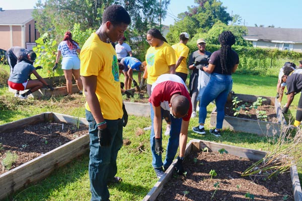 Two teenage boys wearing gardening gloves work in a sunny community garden surrounded by other young gardeners also working