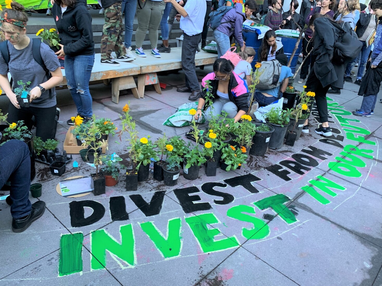 People arranging potted plants around a sidewalk sign 