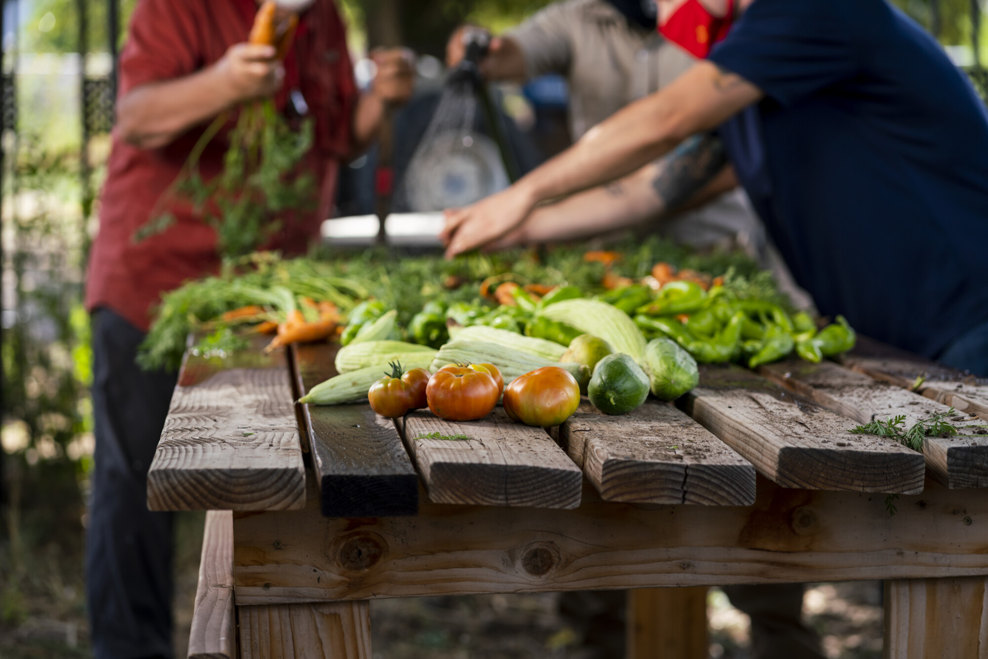 Local Food, Global Impact