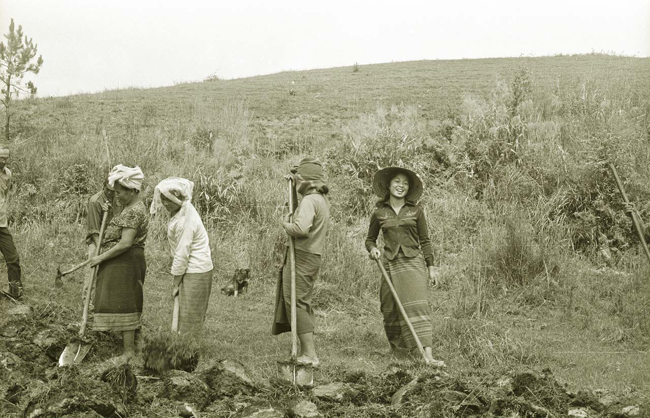 Four women digging with shovels in a field