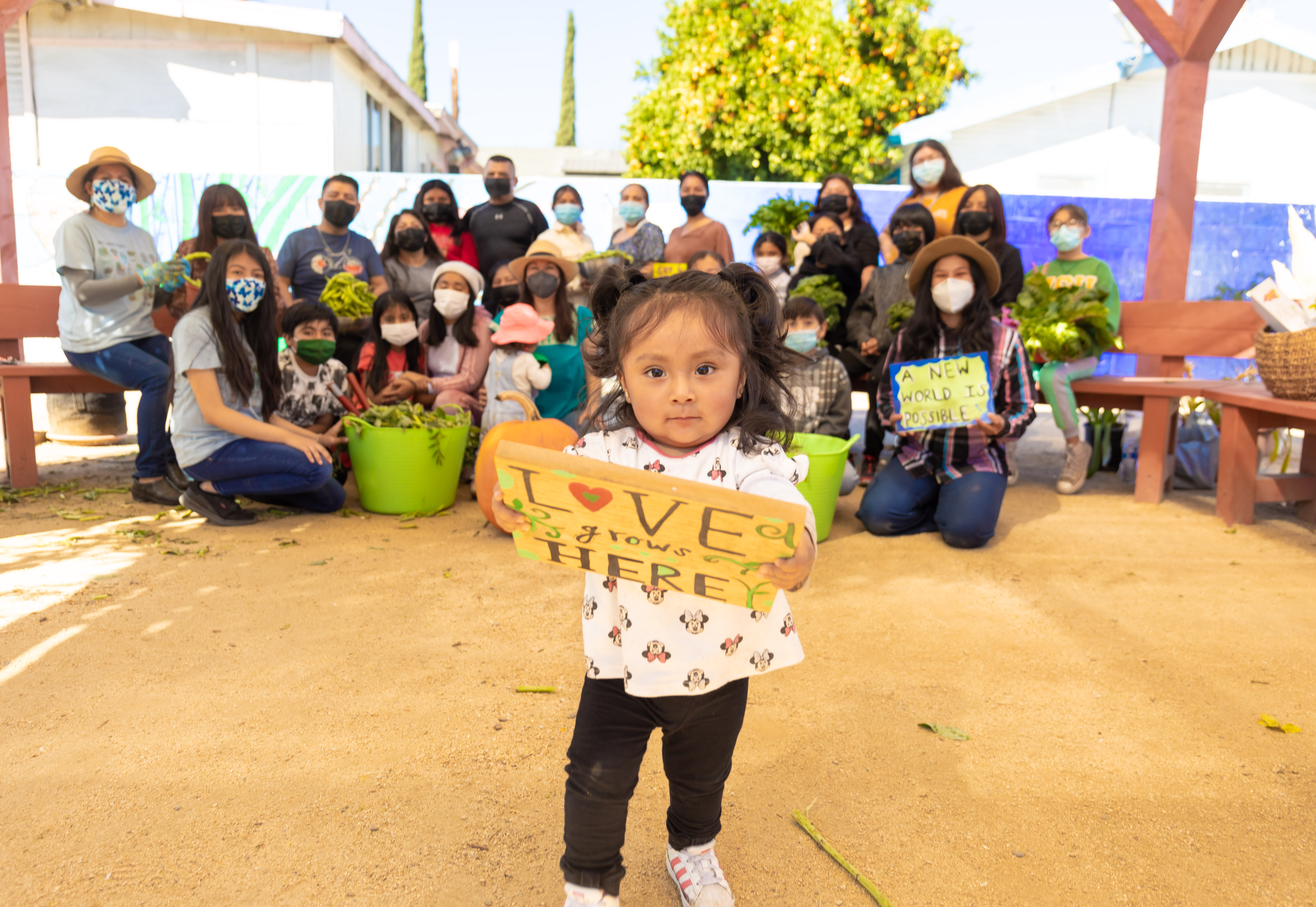 Accompanying immigrant families in building a community farm in Los Angeles