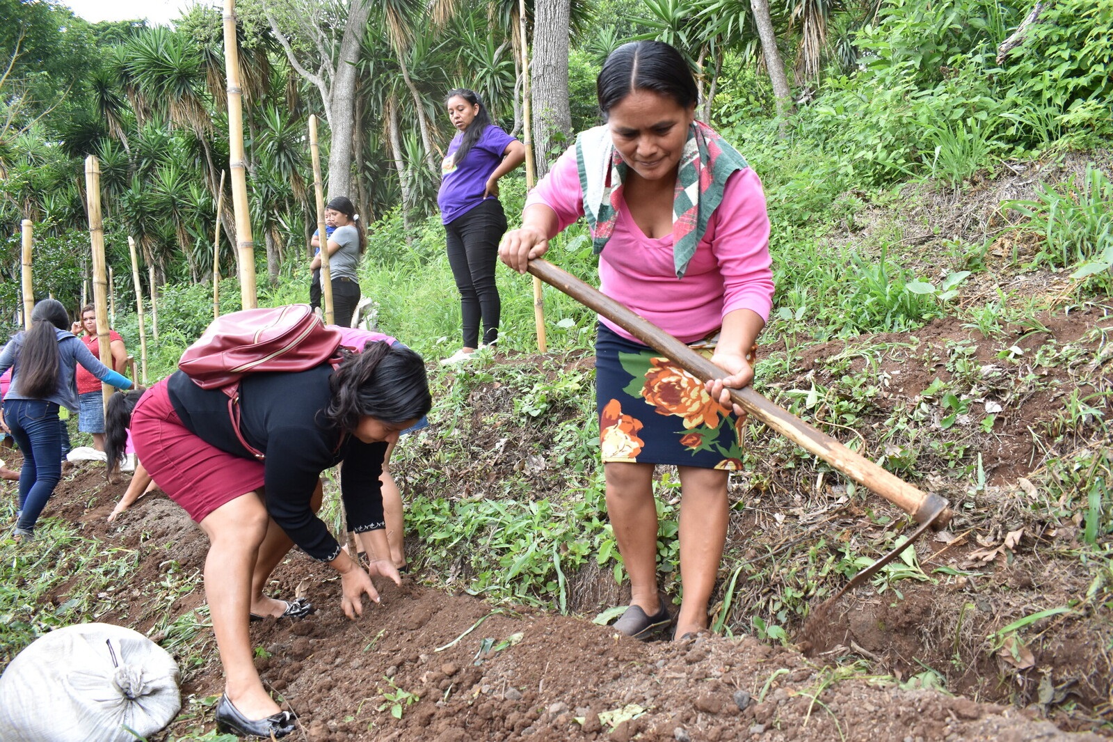 Sembrando soberanía alimentaria en El Salvador