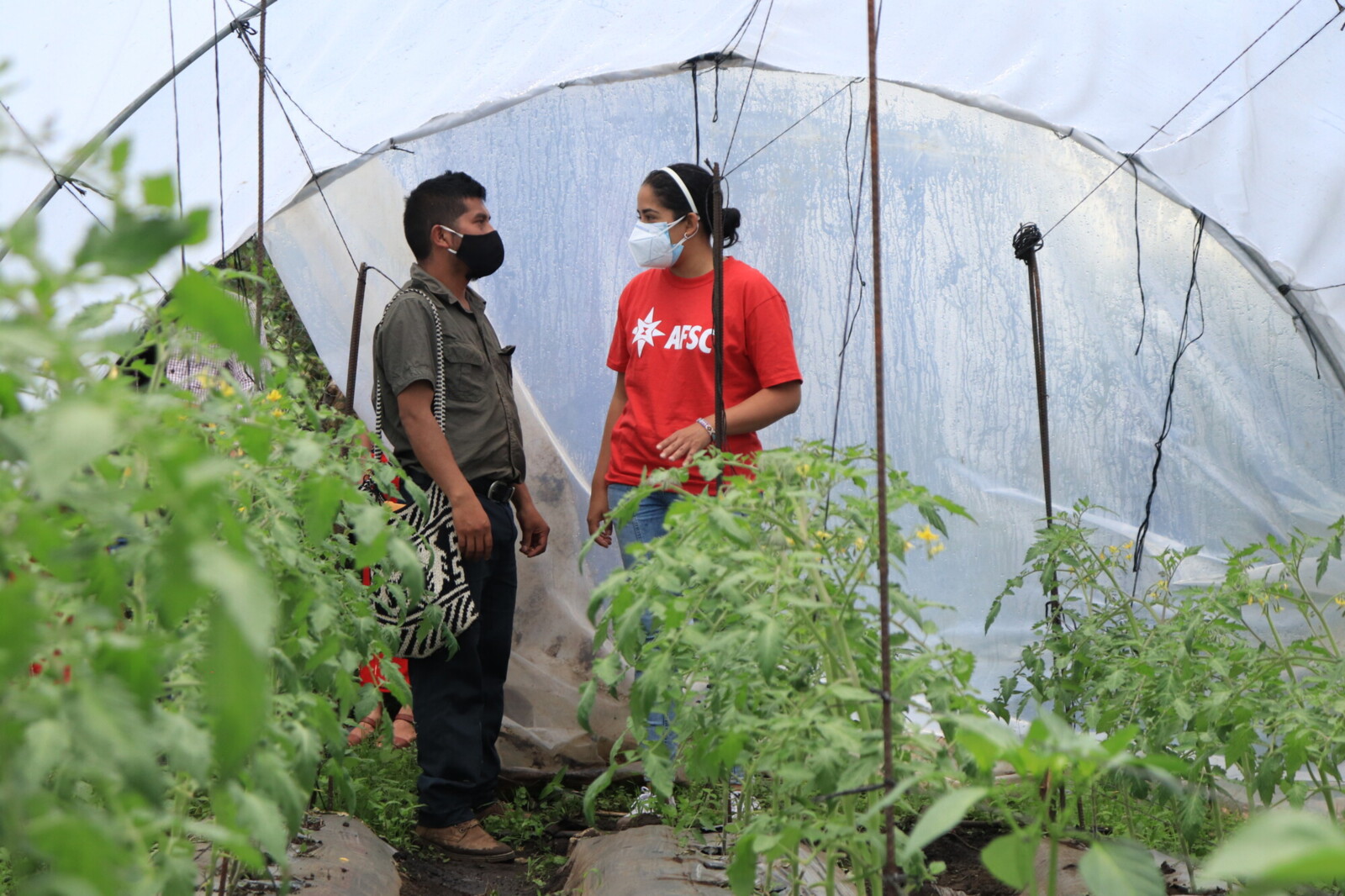 Cultivating collective resilience in Guatemala